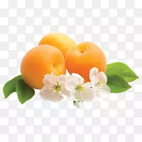 桌面壁纸水果花橘子杏仁