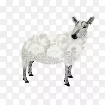 绵羊，牛，山羊角，动物-绵羊