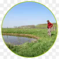 水资源生态池塘游憩农场-水