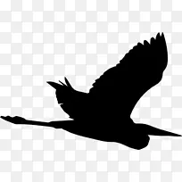 鹭喙鸟鹤轮廓-鸟