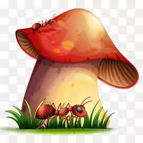 蘑菇剪贴画-蘑菇