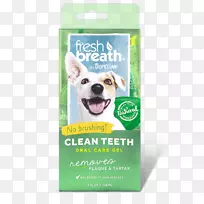 清洁牙刷狗胶狗