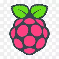 raspberry pi基金会计算机Raspbian Arduino-Computer