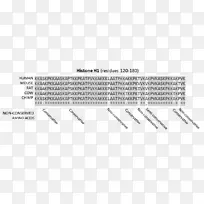 同源分子生物学保守序列分子进化-基因修饰生物