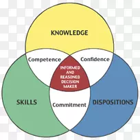 知识、技能和能力-教育能力