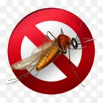 蚊香家用驱虫剂苍蝇-蚊子