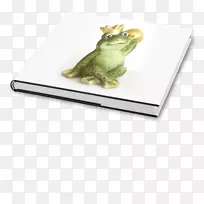 树蛙矩形蛙