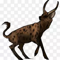 羚羊，鹿，山羊角，野生动物-鹿