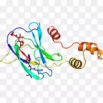 生物人类行为线点剪贴画线