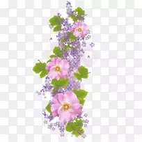花卉设计数字图像数据集群
