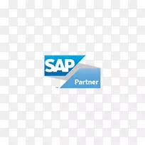 SAP se sap erp企业资源规划计算机软件sap s/4 hana-Business