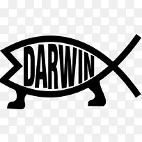 伊奇提斯符号鱼保险杠贴纸的达尔文-费什变体-鱼