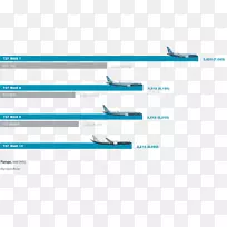 波音737 max飞机网页翼尖装置