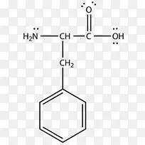 路易斯结构丙氨酸天冬氨酸氨基酸