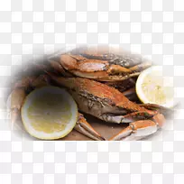 邓吉尼斯螃蟹缅因州大街鱼市场雪蟹红王蟹-螃蟹