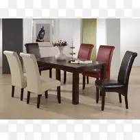 餐桌，餐室，椅子，沙发垫桌