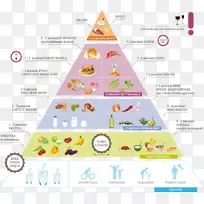 食物金字塔式饮食补充
