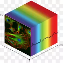 高光谱成像数据、立方体、光子等。市场分析多光谱影像