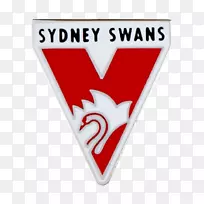 悉尼天鹅2018年AFL季节悉尼板球场布里斯班狮子港阿德莱德足球俱乐部