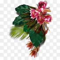 印加百合花卉设计切花花束叶龙枕花