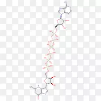 线点角字体线