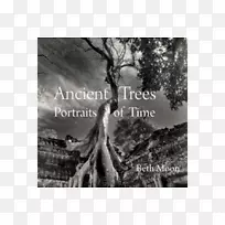 古树：时间的肖像，亚马逊网站，拍摄树木隐藏的生命：他们的感受，他们如何交流-从一个秘密的世界树中的发现