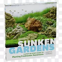 沉陷花园：一步的指导淡水水族馆的种植，水族馆植物的百科全书，水族箱