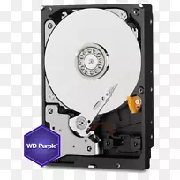 WD紫色Sata hdd硬盘驱动器wd紫色3.5“串行ata数据存储.大容量硬盘