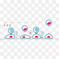 细胞-细胞相互作用ASCB embo 2017-设计