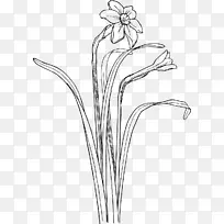 花灌木植物茎画夹艺术-花