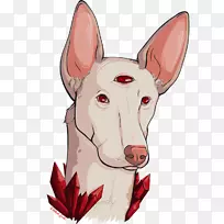 养意大利灰狗伊比赞猎犬