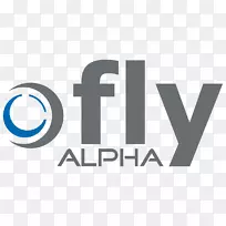 Fly alpha GmbH徽标飞下Luftverkehrs GmbH Schwabach航空公司-Flugbetrieb