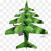杉木圣诞装饰圣诞树松常绿-圣诞树