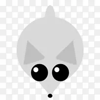 北极狐须犬科北极狐