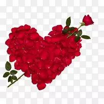 玫瑰爱花情人节桌面壁纸-玫瑰