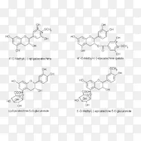 查尔酮、黄烷酮、金黄酮、类黄酮、化学物质-物质