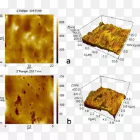 人体皮肤表面光洁度原子力显微镜形貌体模数