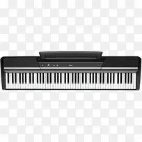 Korg Kronos数字钢琴键盘乐器.键盘
