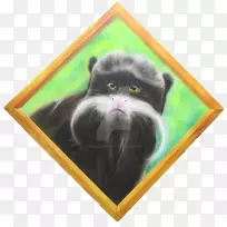 胡须，小猫，黑猫，马王，塔马林-小猫