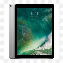 苹果iPad Pro(12.9)空间灰色-iPad