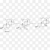 罗丹明b黄蒽丝裂霉素有机合成