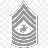 海军陆战队中士美国海军陆战队军衔徽章