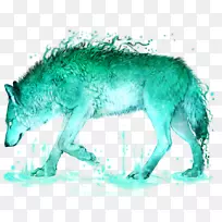 土狼灰狼绿松石鼻子动物-动物
