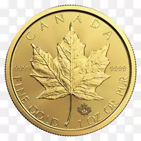 加拿大黄金枫叶金银枫叶金币