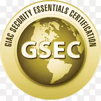 渗透测试全球信息保证认证电脑安全进攻性安全认证专业认证信息系统安全专业-GS EC