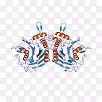 凝血酶丝氨酸蛋白酶链激酶-欧洲生物信息学研究所
