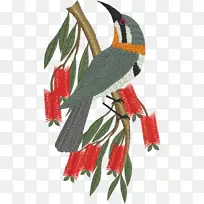 鸟类秃鹰机刺绣图案-鸟