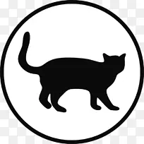 胡须猫，家养短毛猫，野猫