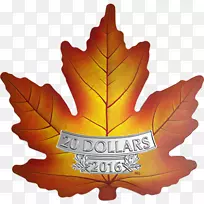 加拿大金枫叶皇家加拿大铸币-加拿大
