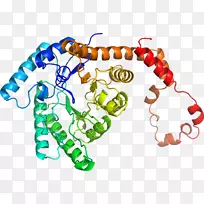 生物剪辑艺术-β2微球蛋白